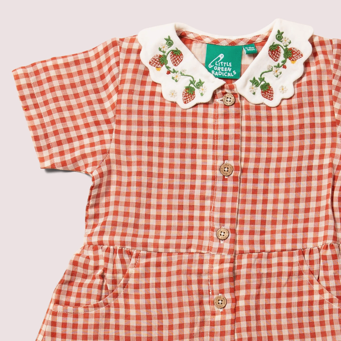 Little Red Check Button Through Short Sleeve Dress