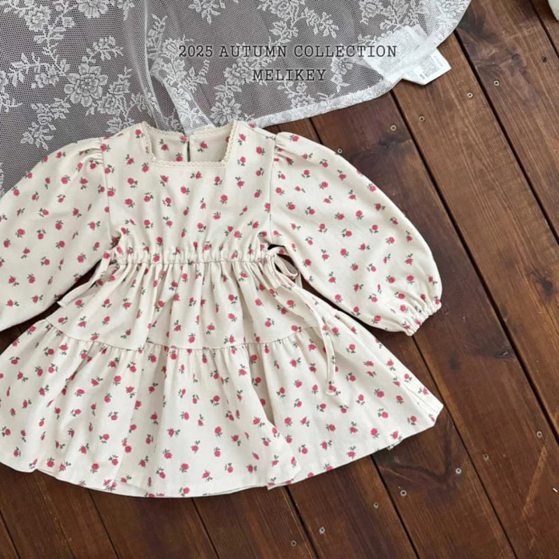 Eloise Dress